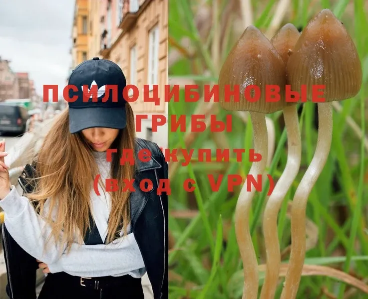 Галлюциногенные грибы Magic Shrooms  Чишмы 